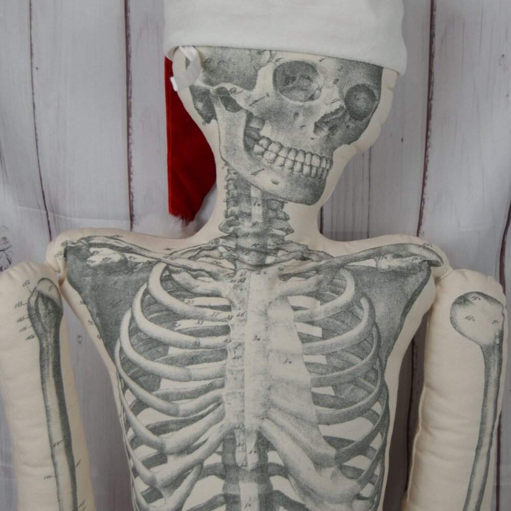 NEW LARGE John Derian x Target CHRISTMAS XMAS SANTA Stuffed Skeleton Pillow 63” - Picture 4 of 14